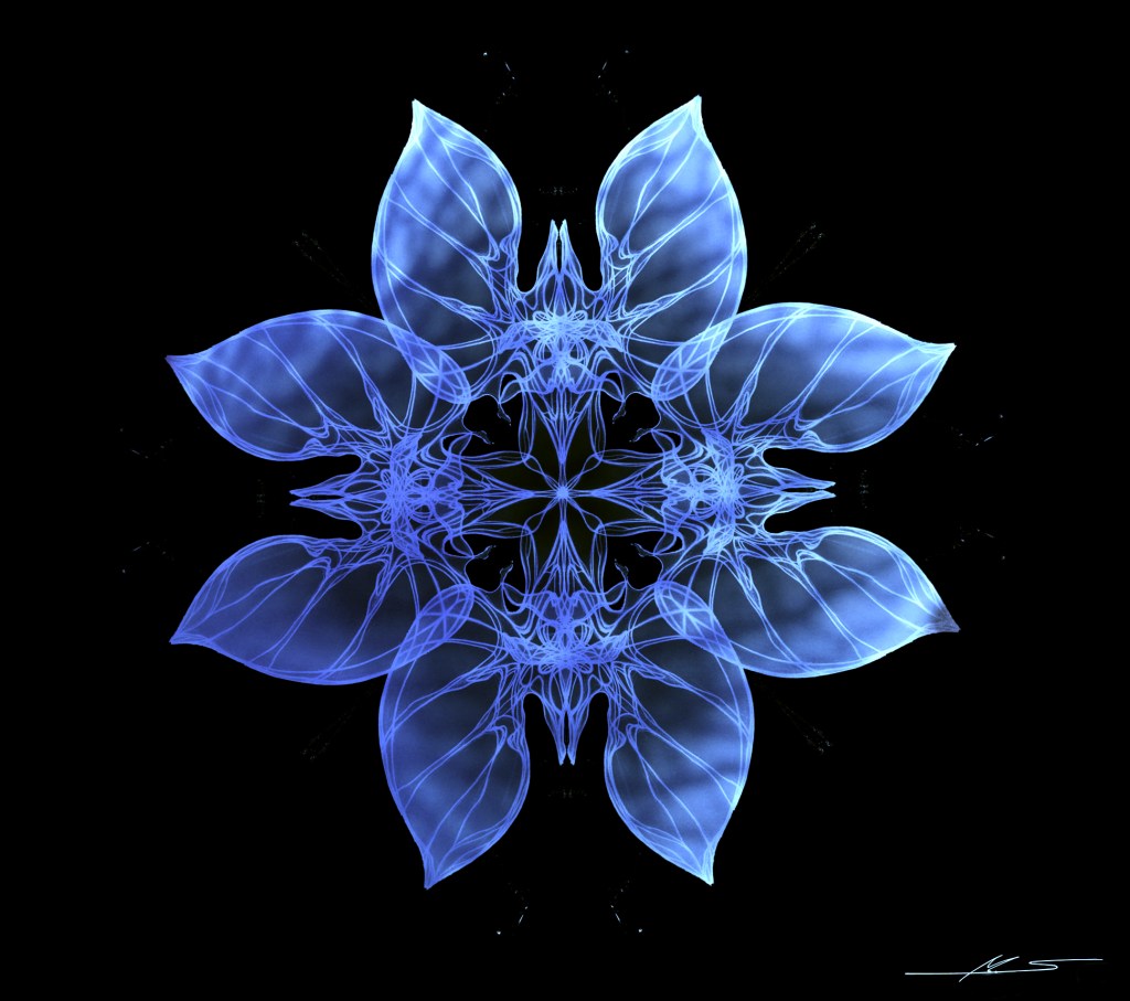 sketchflowerblu